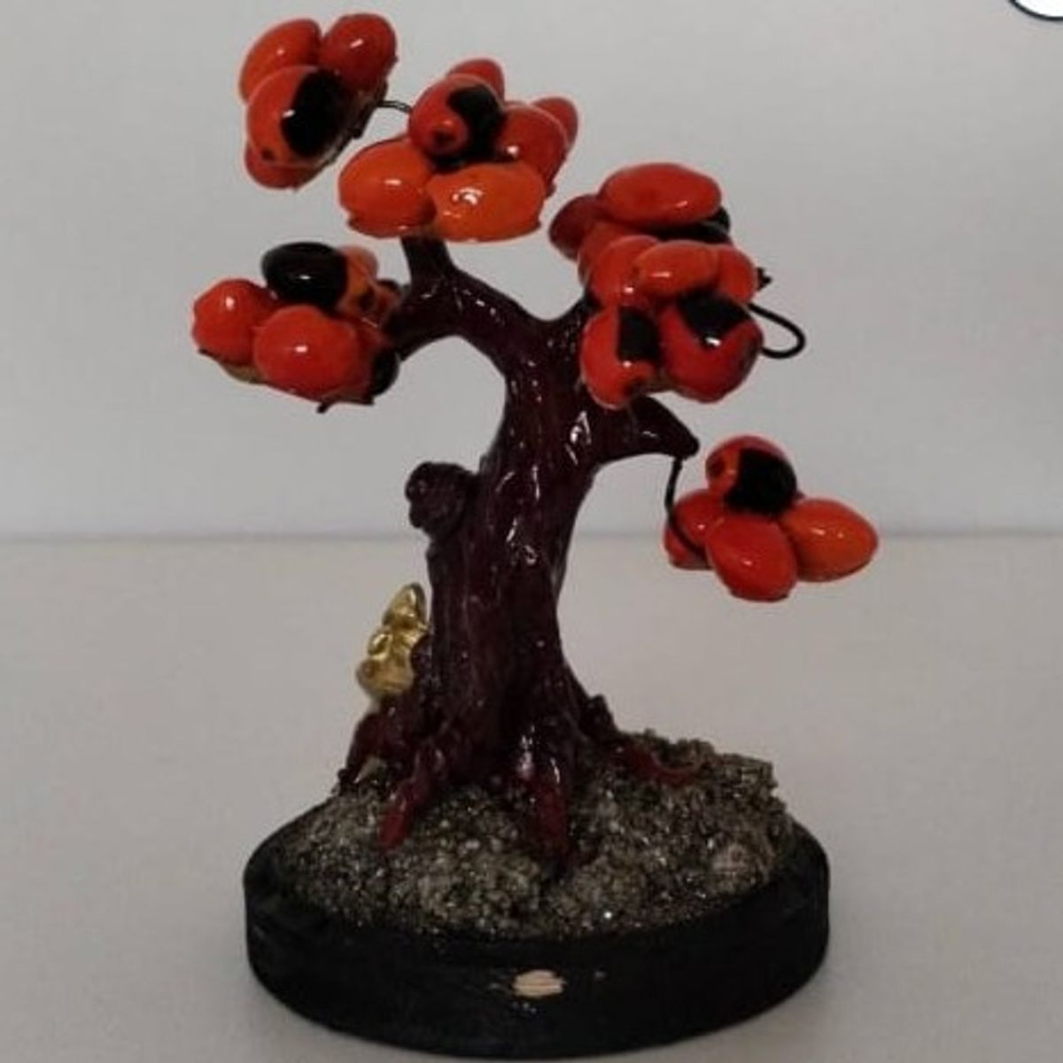 GENERICO - ARBOLITO DE LA FELICIDAD BONSAI MEDIANO CON SEMILLAS HUAYRURO