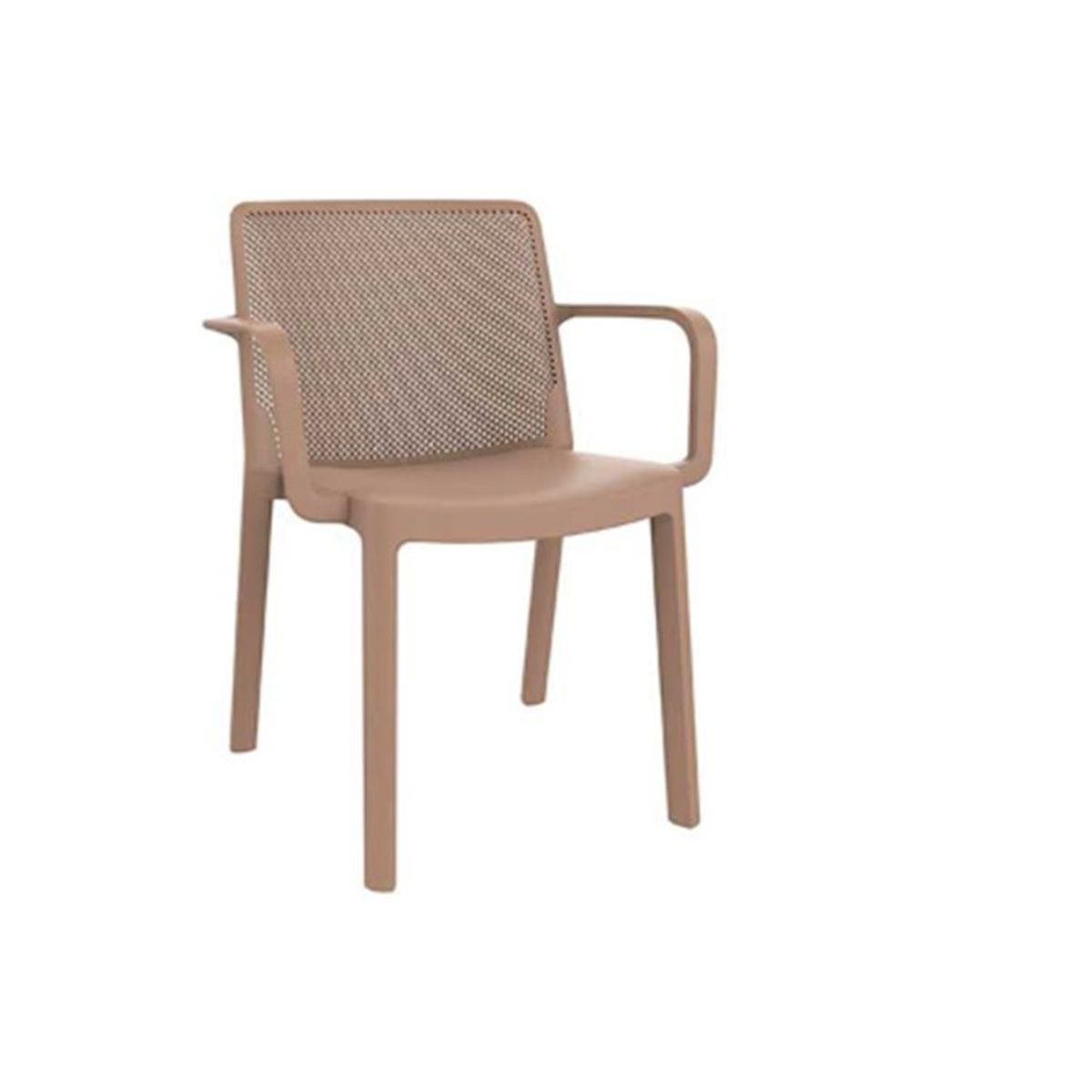 ZIYAZ - Silla De Comedor Fresh CB Arena