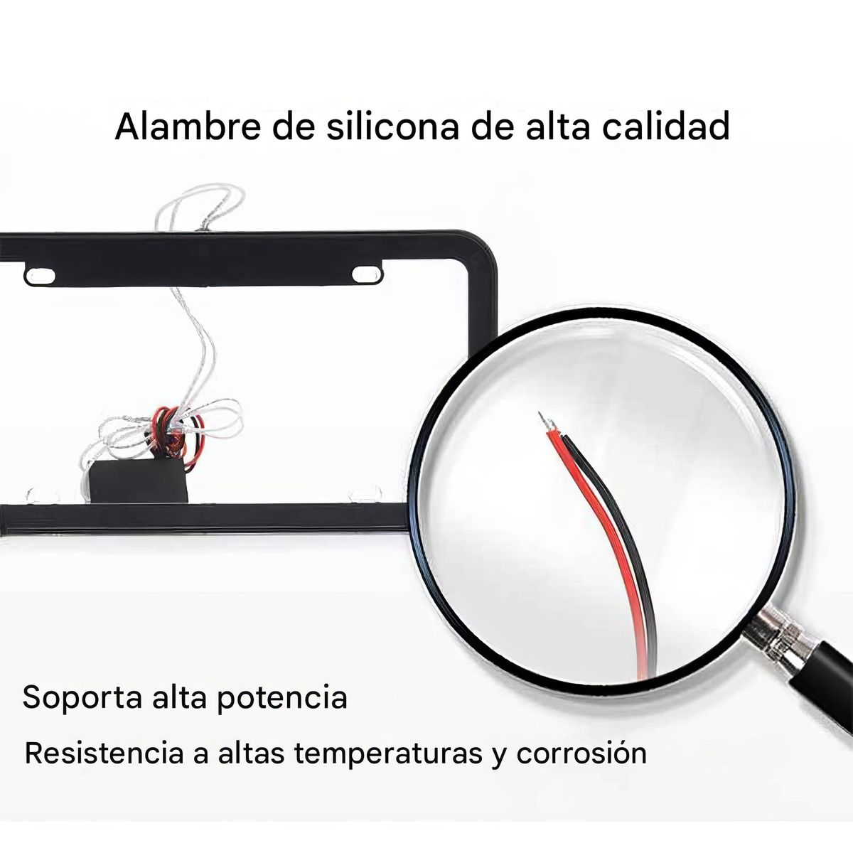 GENERICO - Porta Placa LED Luz Blanca 12V Tuning Universal