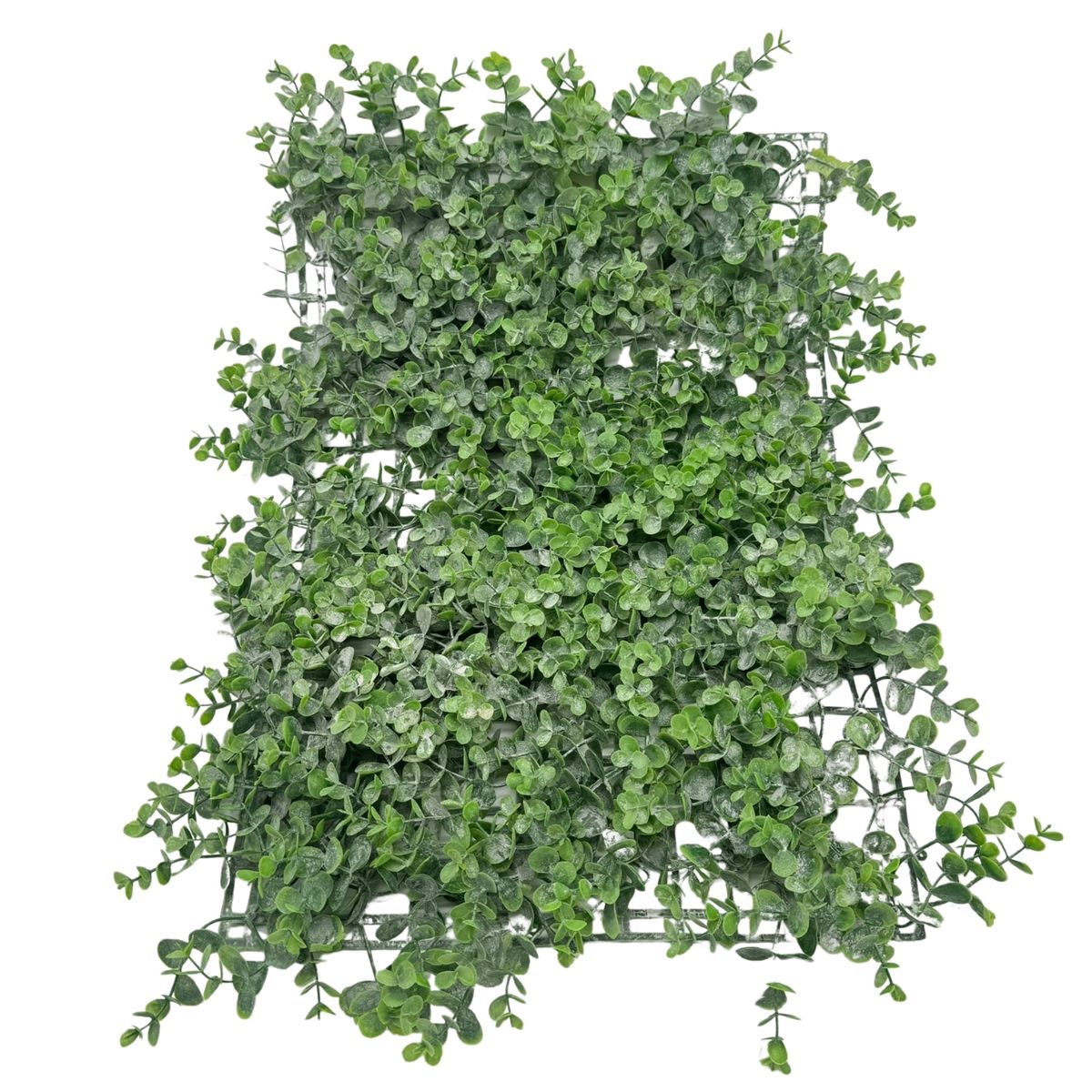 FLORIPA - Malla Eucalipto Otoñal 40X60 BG 230285 FLORIPASTORE