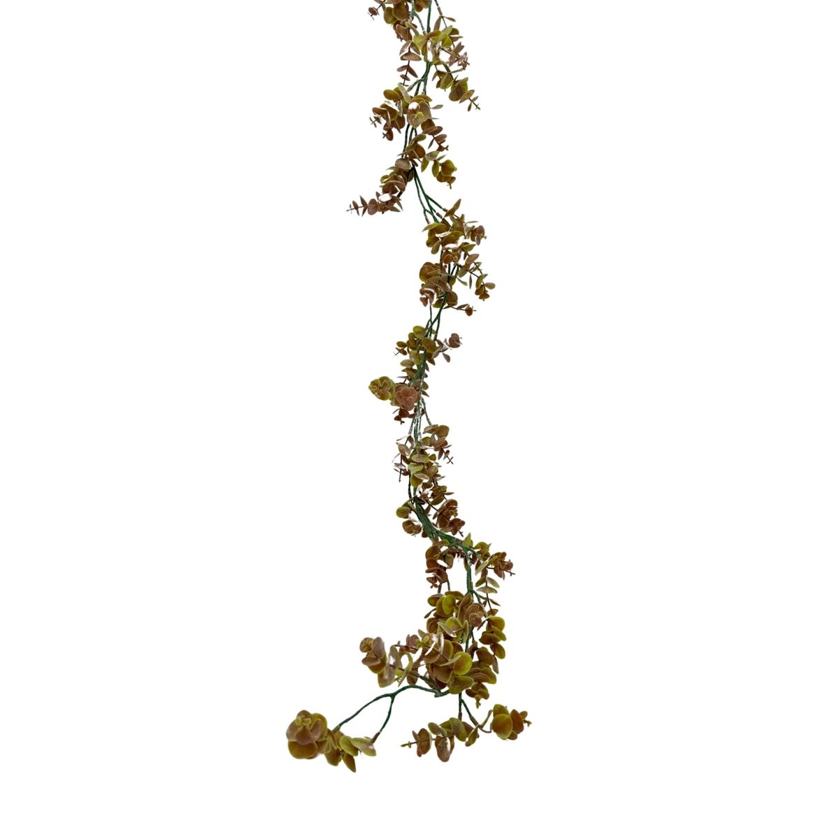 FLORIPA - Guirnalda De Eucalipto BG 231025-NAR FLORIPASTORE