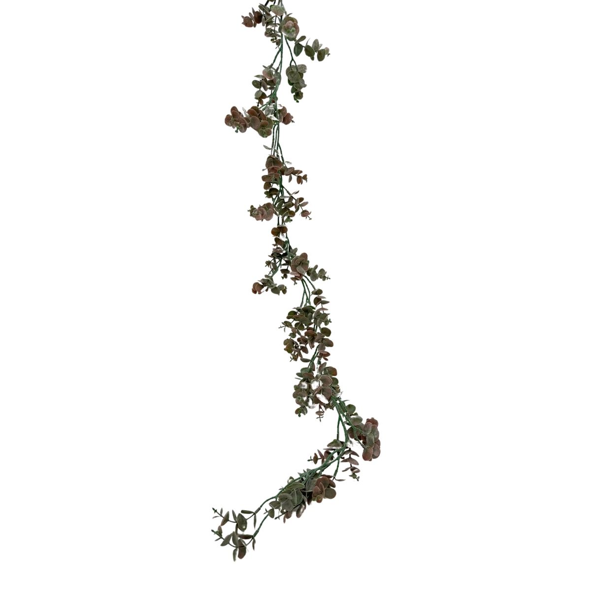 FLORIPA - Guirnalda De Eucalipto BG 231025-VC FLORIPASTORE