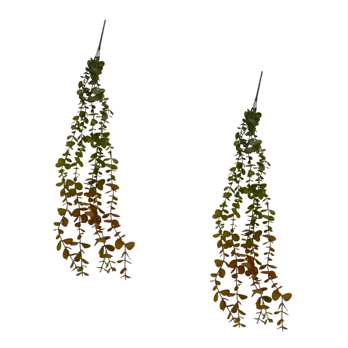 FLORIPA - Pack De 2 Colgante De Eucalipto Otoñal  BG 231289 FLORIPASTORE