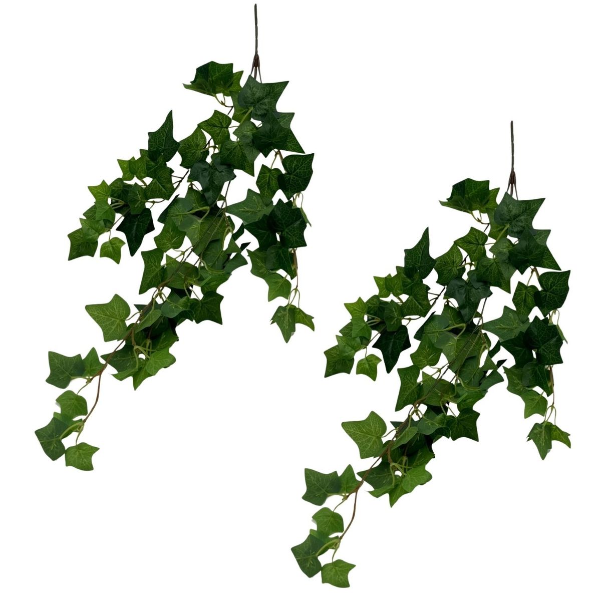 FLORIPA - Pack De 2 Colgante Follaje BG 234735 FLORIPASTORE