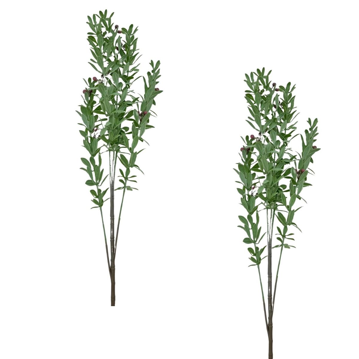 FLORIPA - Pack De 2 Vara De Cherry BG 239072-RJ FLORIPASTORE