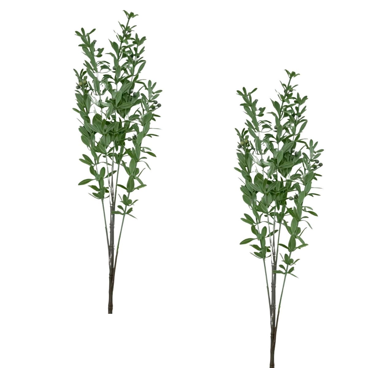 FLORIPA - Pack De 2 Vara De Cherry BG 239072-VD FLORIPASTORE