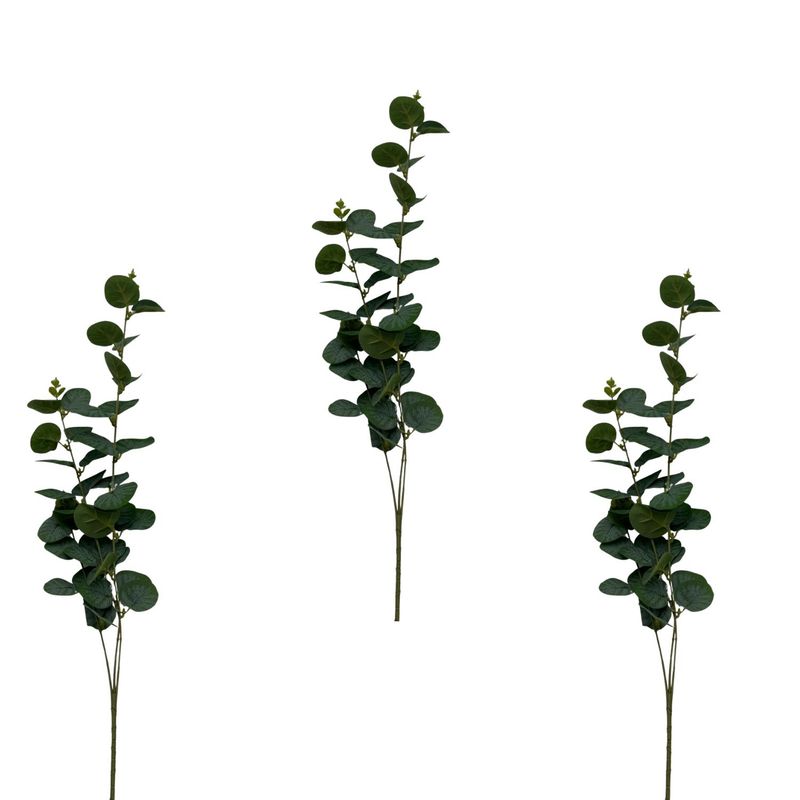 FLORIPA - Pack De 3 Vara De Eucalipto Envejecido BG 397015 FLORIPASTORE