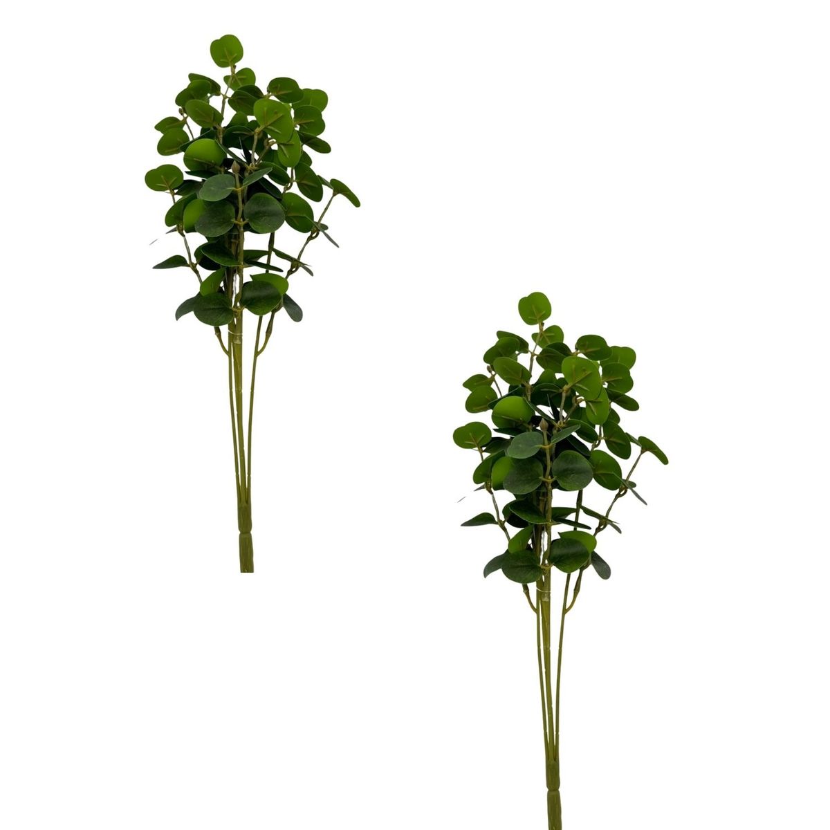 FLORIPA - Pack De 2 Bouquet De Eucalipto X5 BG 405293V FLORIPASTORE