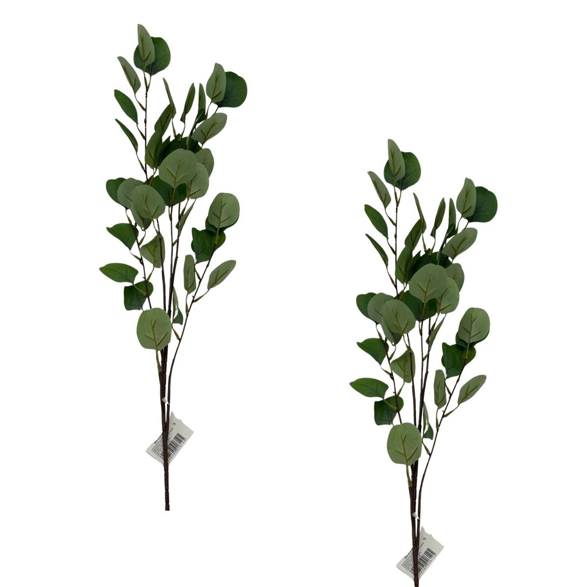 FLORIPA - Pack De 2 Vara De Eucalipto BG 410163V FLORIPASTORE