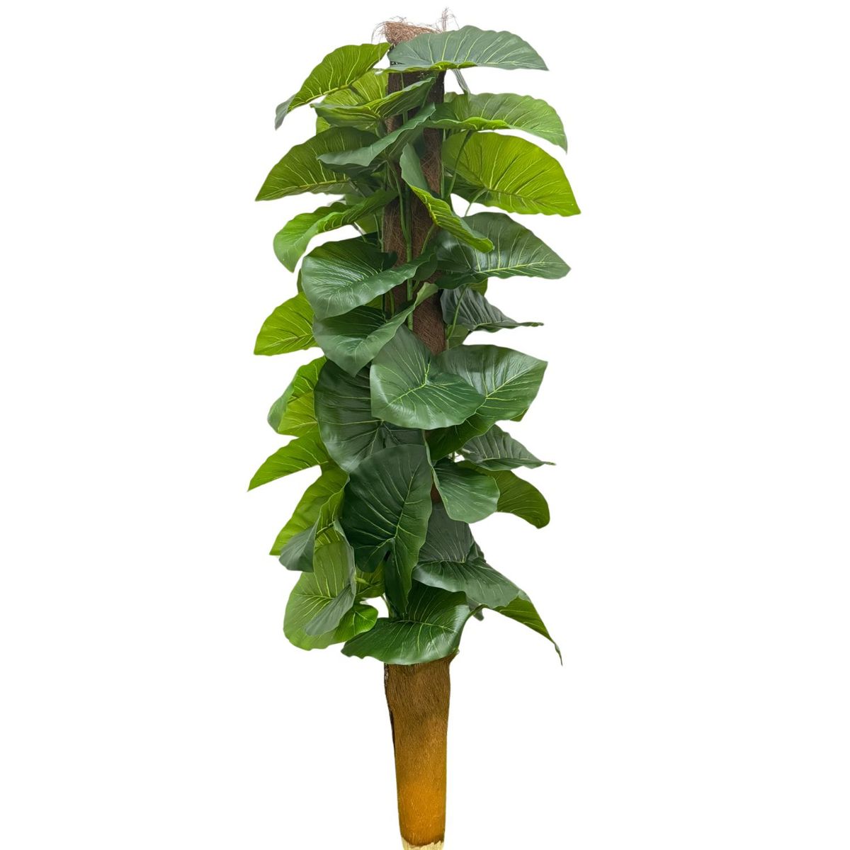 FLORIPA - Planta Artificial De Hojas Costilla de Adam BG 490007 FLORIPASTORE