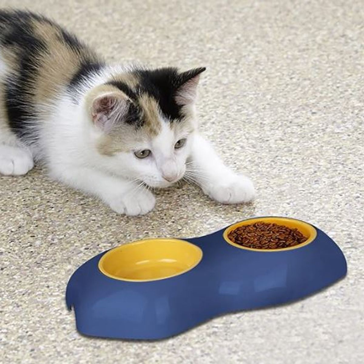 GENERICO - COMEDERO DOBLE + ARNES DE PASEO PARA MASCOTAS