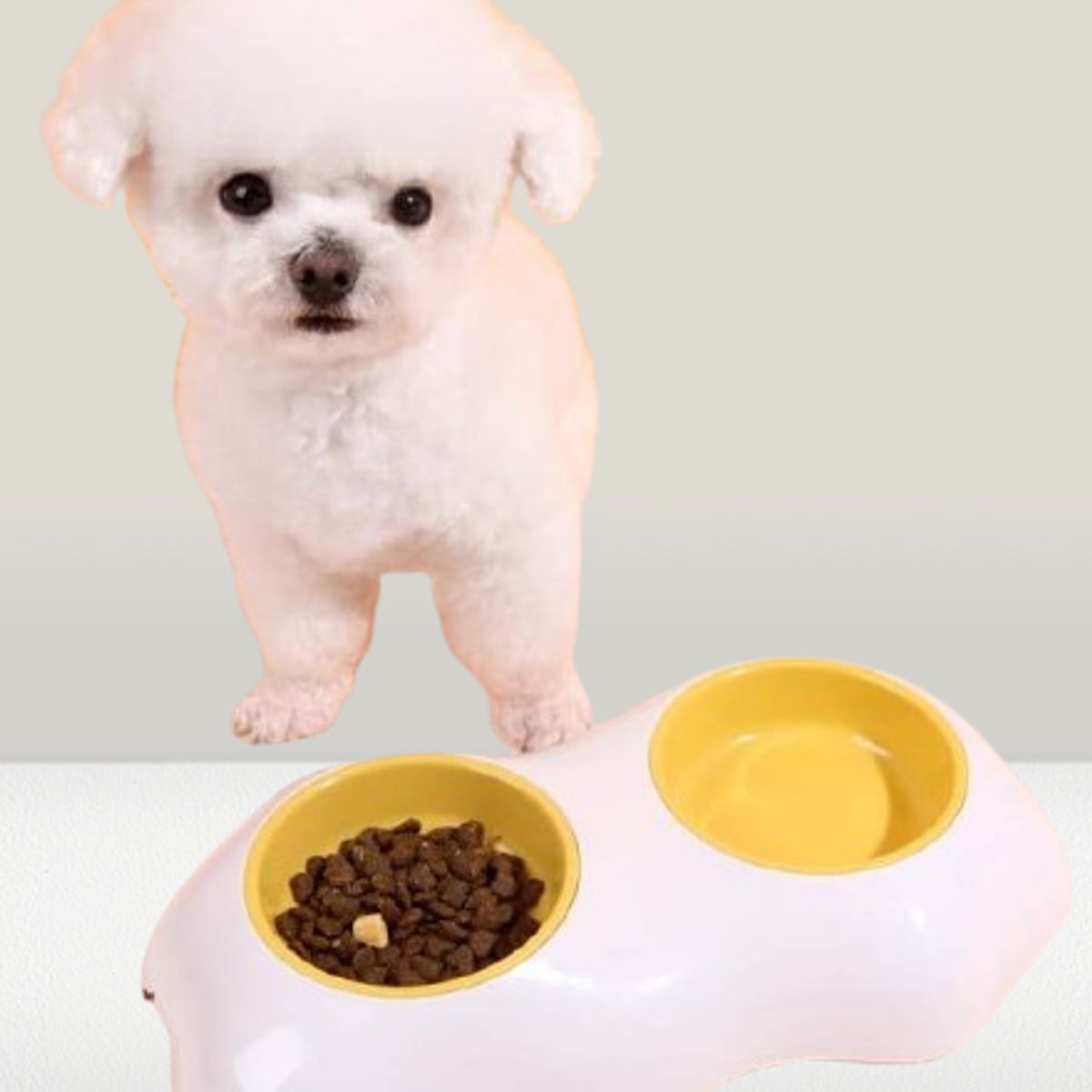 GENERICO - COMEDERO DOBLE + ARNES DE PASEO PARA MASCOTAS