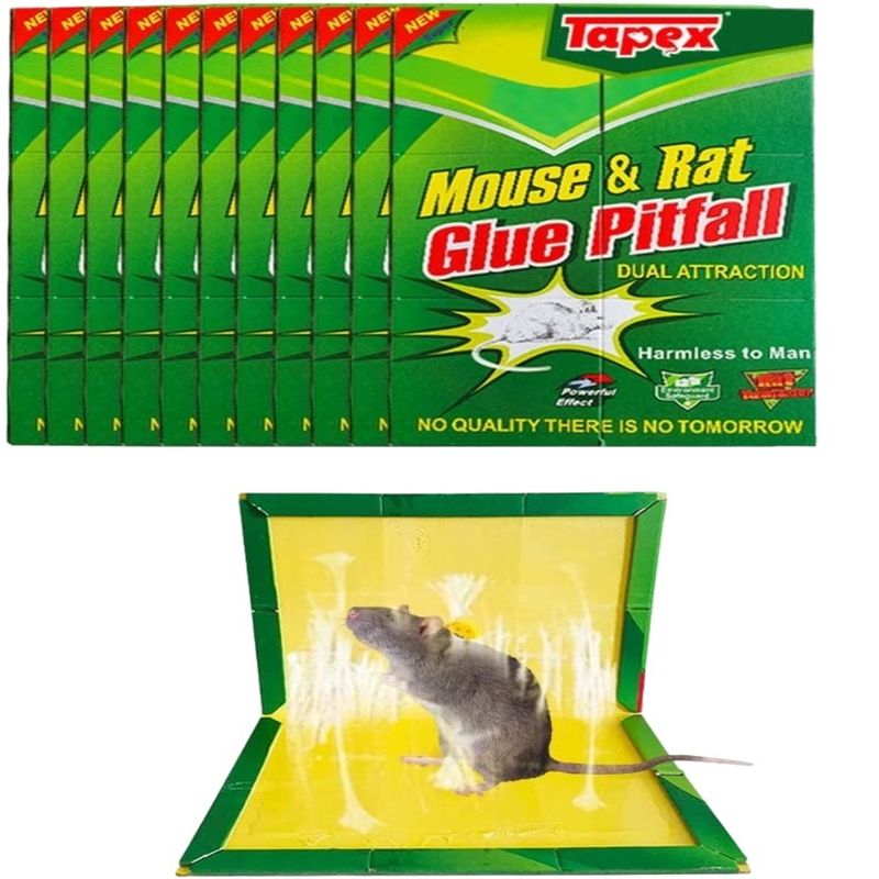 GENERICO - CONTROL DE PLAGAS PEGAMENTO MOUSE ROEDOR X 5 UND