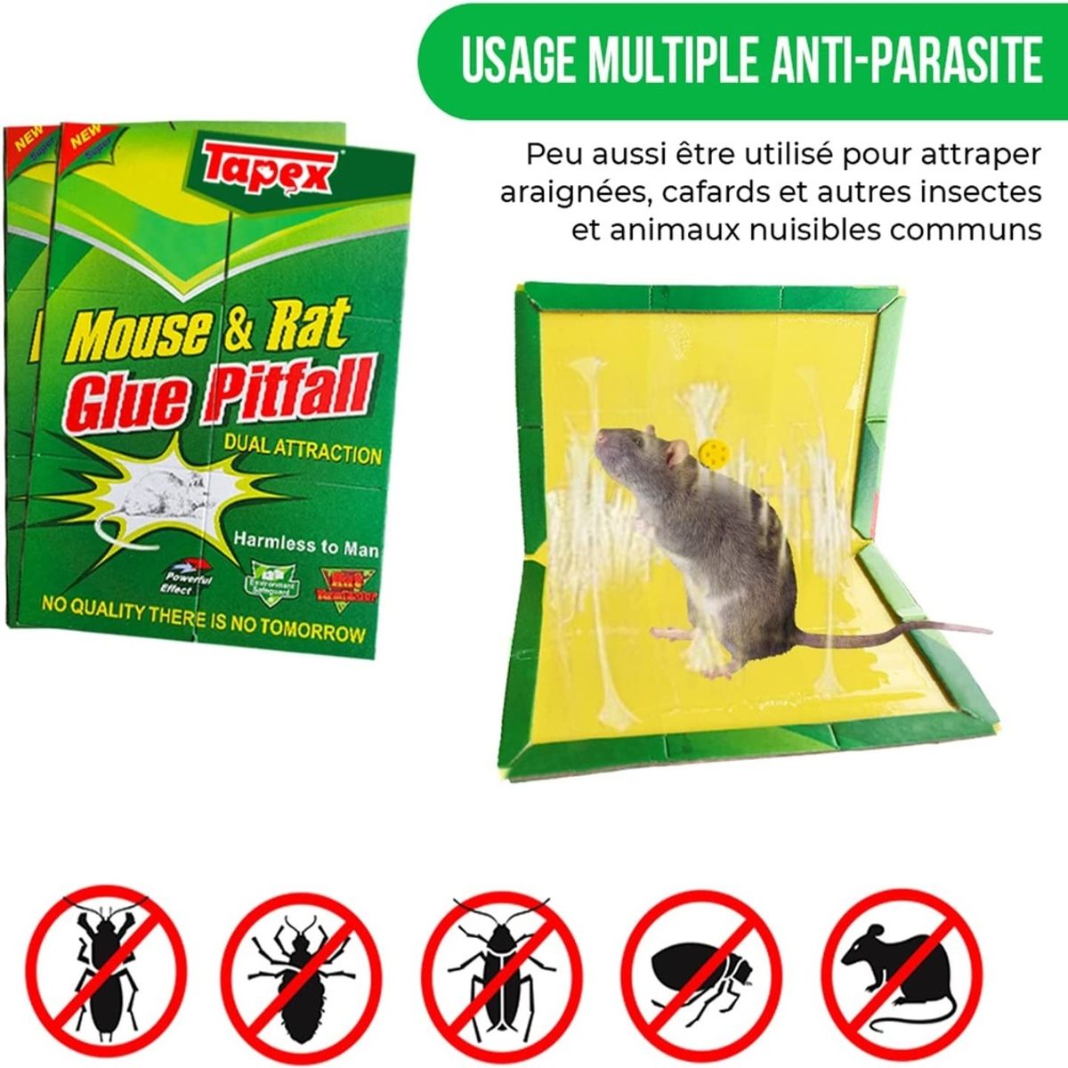 GENERICO - CONTROL DE PLAGAS PEGAMENTO MOUSE ROEDOR X 5 UND