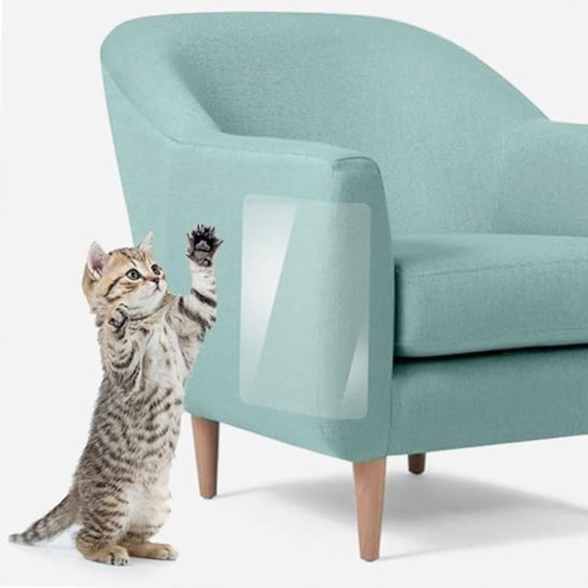 GENERICO - Protector de VINIL Antiarañazos para Gatos