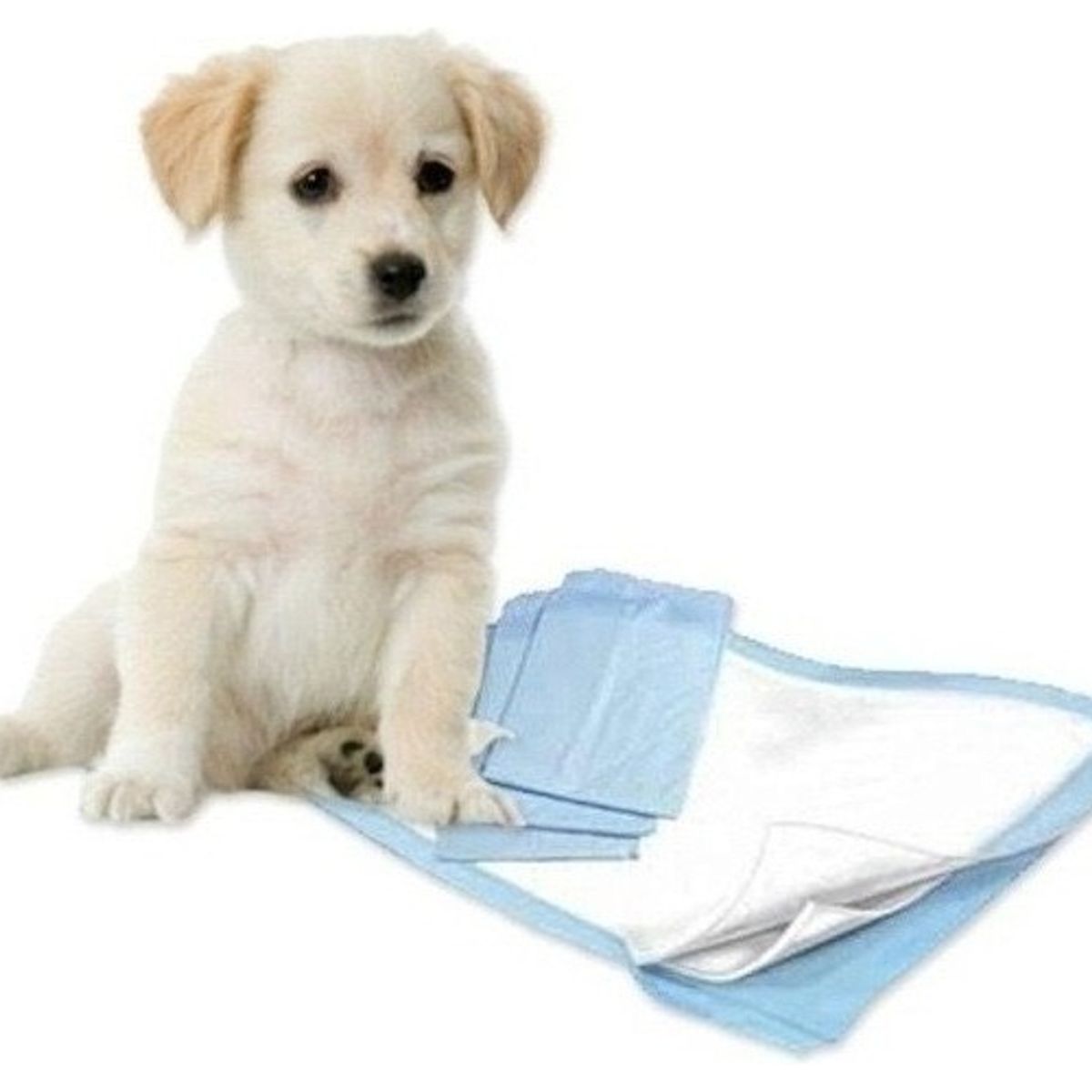QUICK - 100 Pañales Tipo Sabanillas Mascotas Perros 45x60 Cms