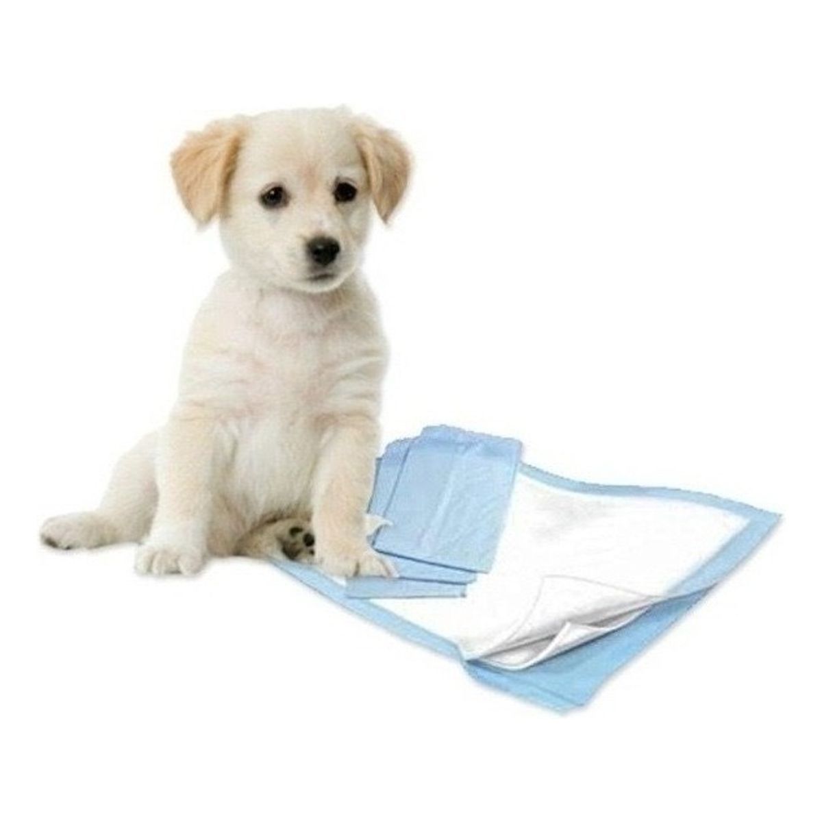 QUICK - 100 Pañales Tipo Sabanillas Mascotas Perros 45x60 Cms