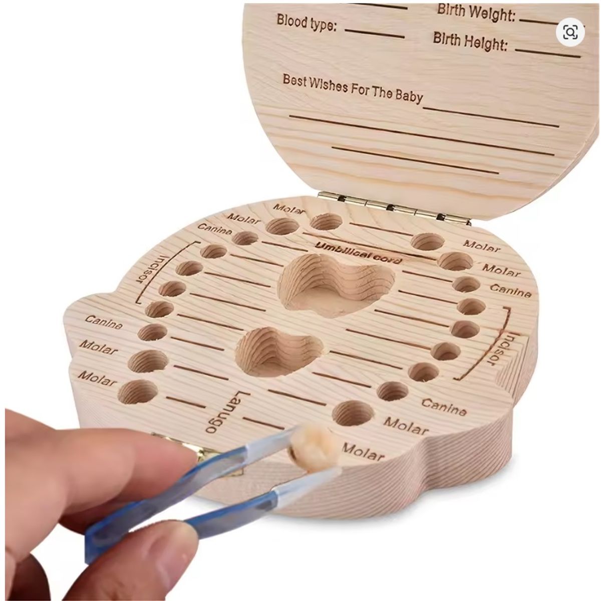 GENERICO - CAJA ORGANIZADORA DE DIENTES DE MADERA PARA BEBÉ NIÑA