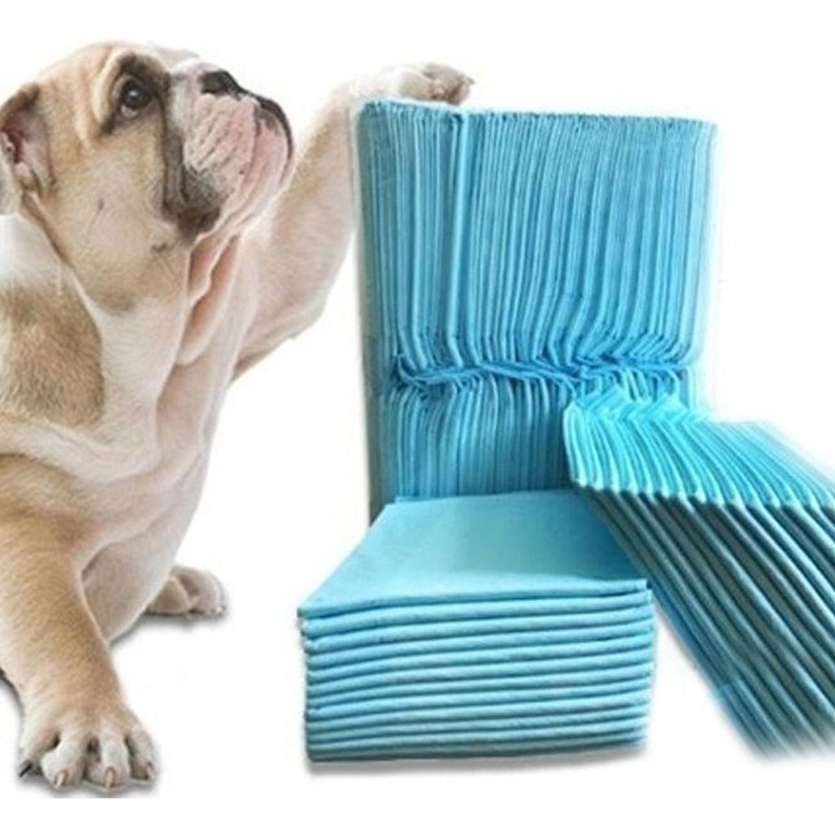 U BUY - 40 Pañales Tipo Sabanillas Mascotas Perros 60x90 Cms