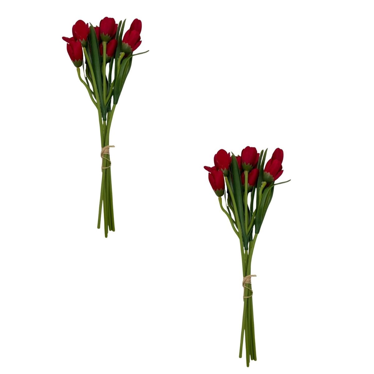 FLORIPA - Pack De 2 Bouquet  De Tulipan BG 405264-RJ FLORIPASTORE