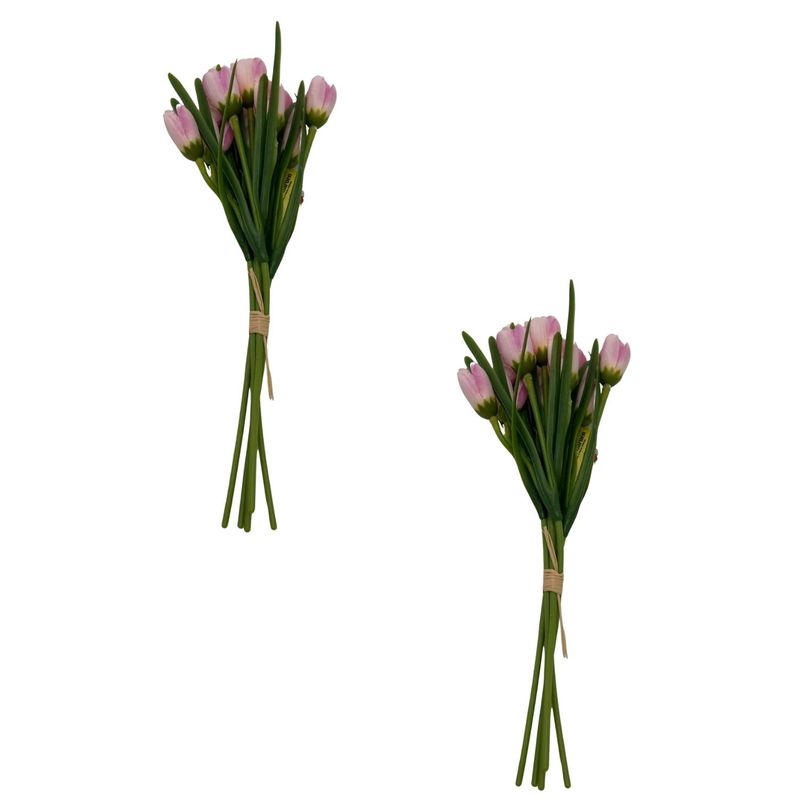 FLORIPA - Pack De 2 Bouquet  De Tulipan BG 405264-ROS2 FLORIPASTORE