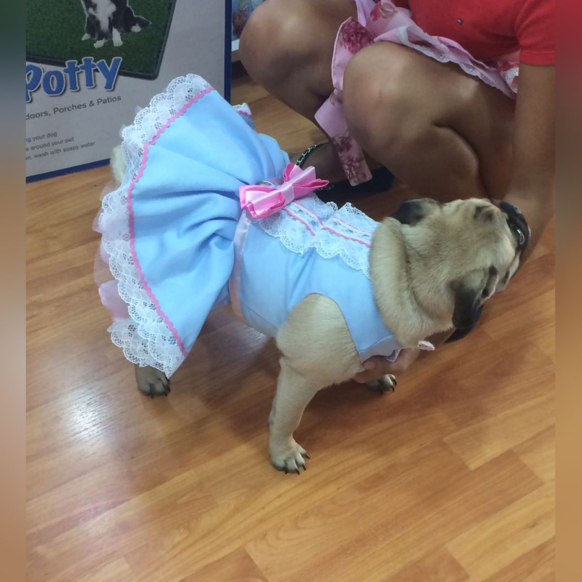 GENERICO - VESTIDO MASCOTA MODELO ENSUEÑO CELESTE - TALLA XXS