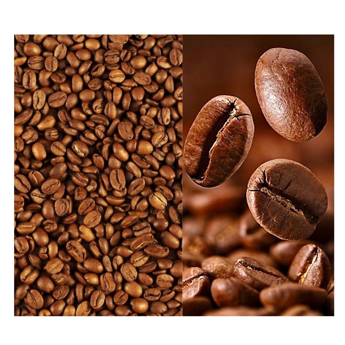 CAFE FUNDO VIEJO - Gourmet Grano Entero 250g TMedio Finca Abuela Mila