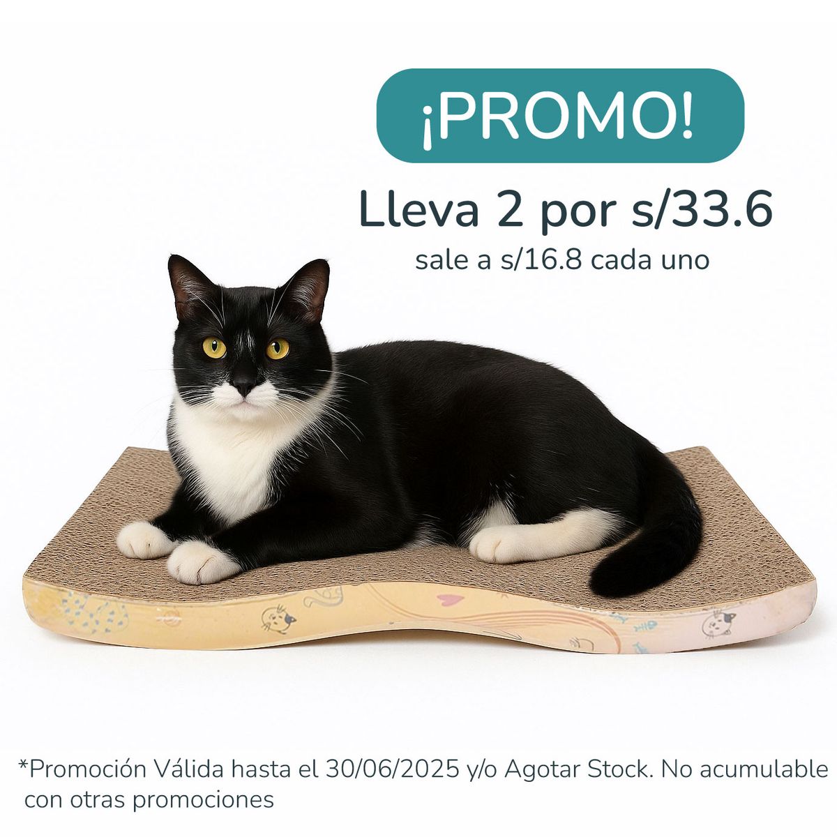 CAT OH - Promoción Rascador Olas Gatunas