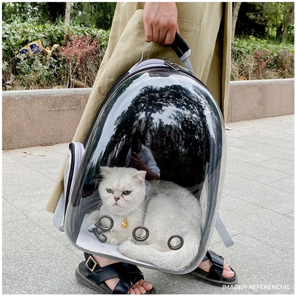 INSPIRA MARKET - Mochila Transportadora para Mascotas Gatos Negro