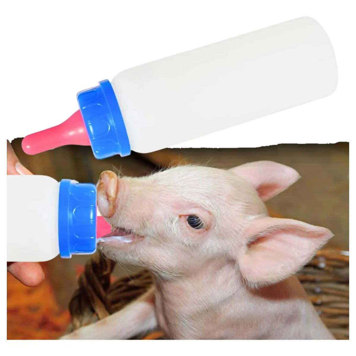 GENERICO - BIBERON BOTELLA 250ML LECHON CORDERO CACHORRO AZUL