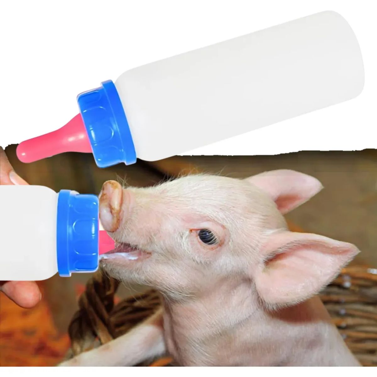 GENERICO - BOTELLA CON TETINA SUAVE PARA ANIMALES 250ML