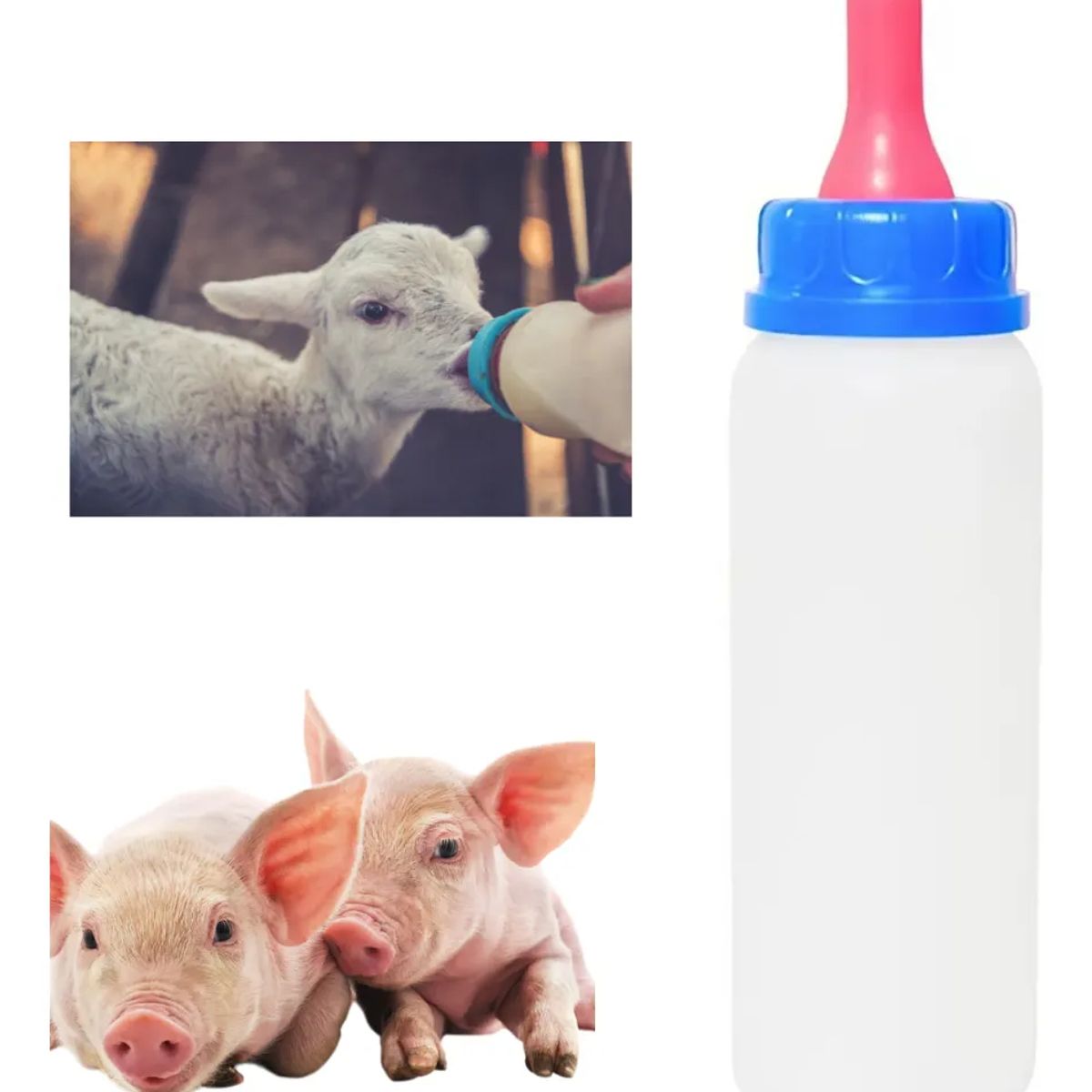 GENERICO - BOTELLA CON TETINA SUAVE PARA ANIMALES 250ML