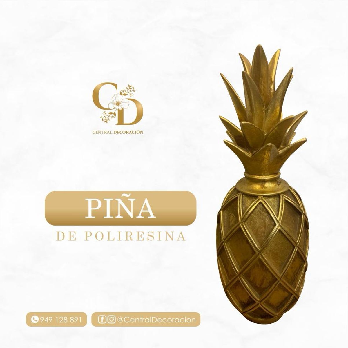 CONCEPT - PIÑA DORADA DE POLIRECINA