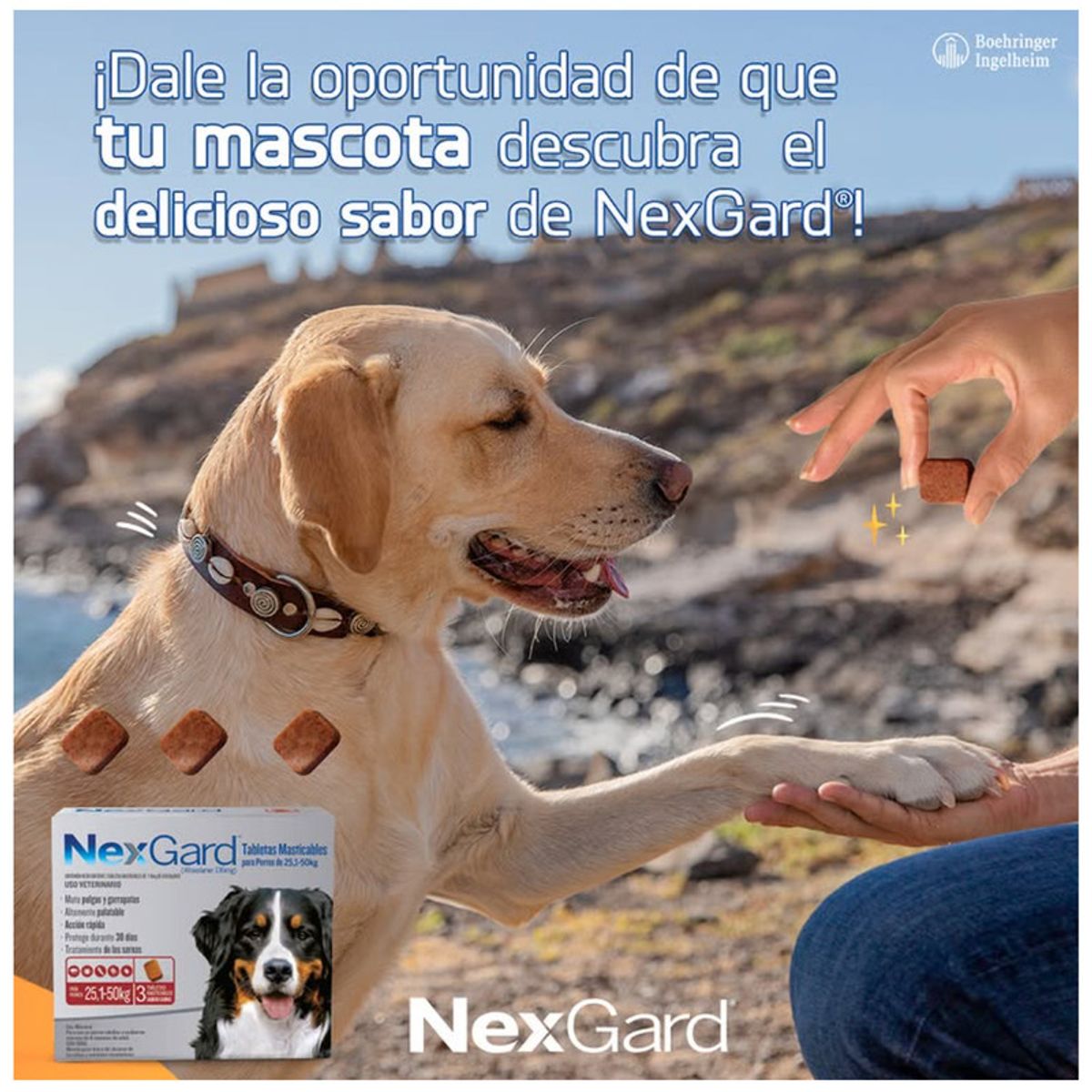 NEXGARD - Nexgard 25,1 - 50 kg X3 Tabletas