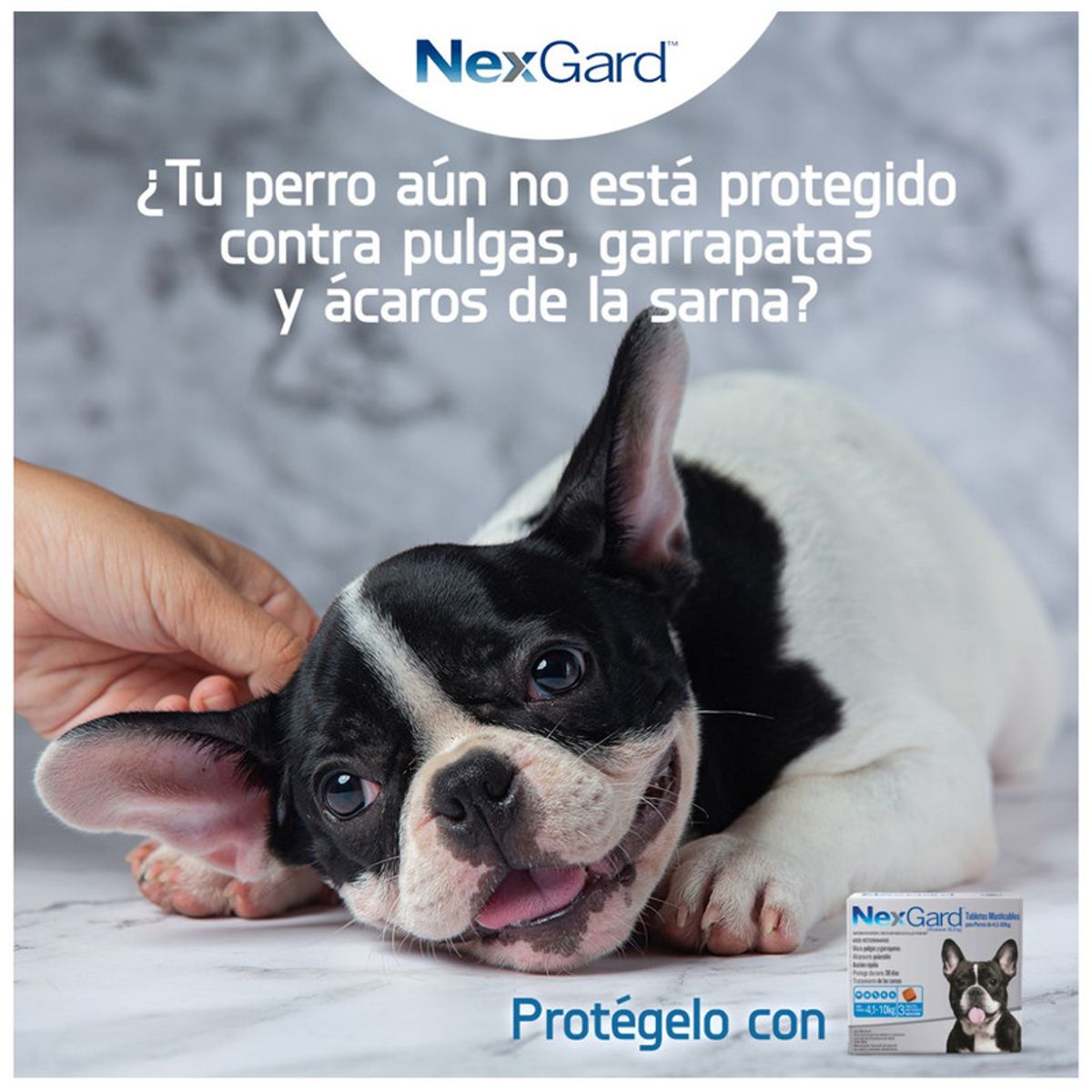 NEXGARD - Nexgard 4,1 - 10 kg 28,3 mg X1 Tableta