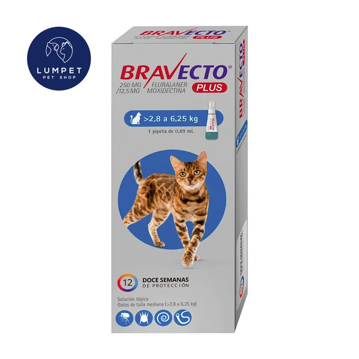 BRAVECTO - Bravecto Plus Gato 2,8 - 6,25 kg