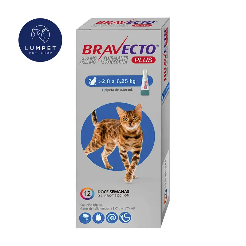 BRAVECTO - Bravecto Plus Gato 2,8 - 6,25 kg