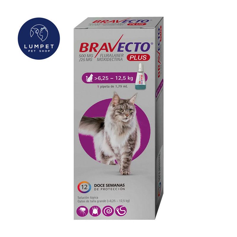 BRAVECTO - Bravecto Plus Gato 6,25 - 12,5 kg