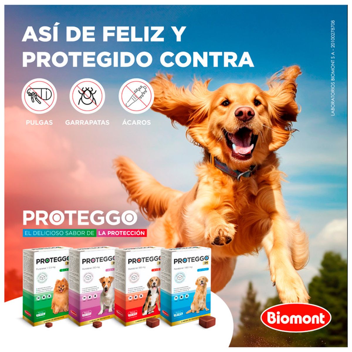 PROTEGGO - Proteggo 3M 40 kg - 56 kg 1400 mg X1 Tableta
