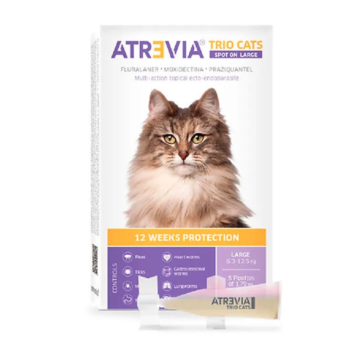 ATREVIA - Atrevia Trio Cats Spot Large 6.3 – 12.5 kg