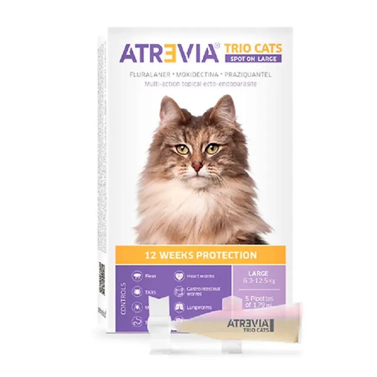 ATREVIA - Atrevia Trio Cats Spot Large 6.3 – 12.5 kg