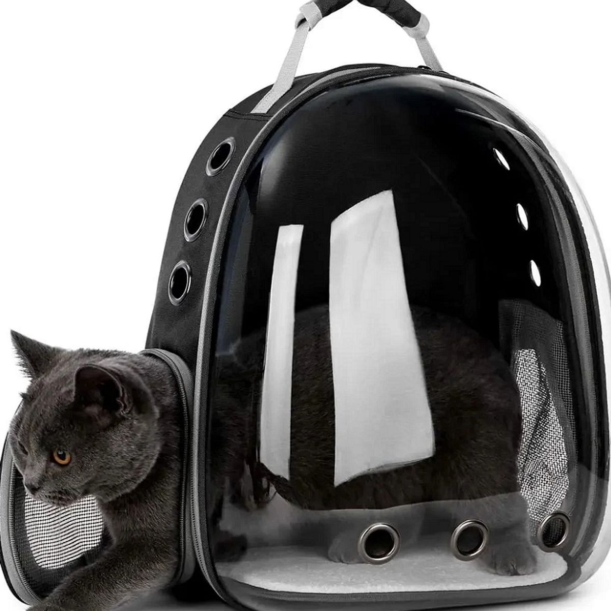 GENERICO - Mochila De Mascota Transparente Para Perros Y Gatos Negro
