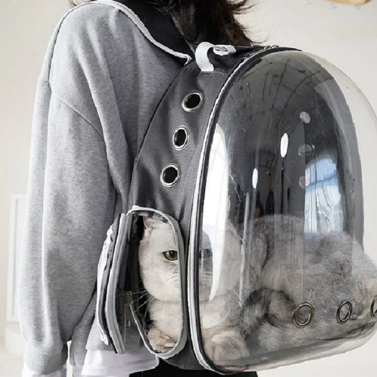 GENERICO - Mochila De Mascota Transparente Para Perros Y Gatos Negro