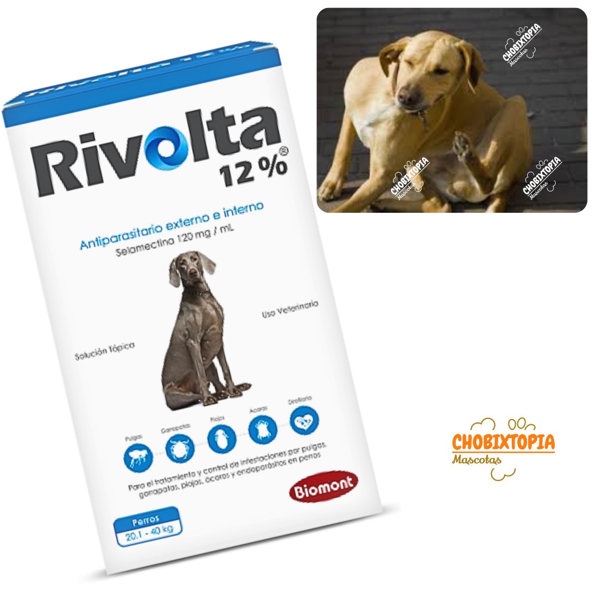 RIVOLTA - RIVOLTA 12% PERROS 20.1 A 40KG - CELESTE