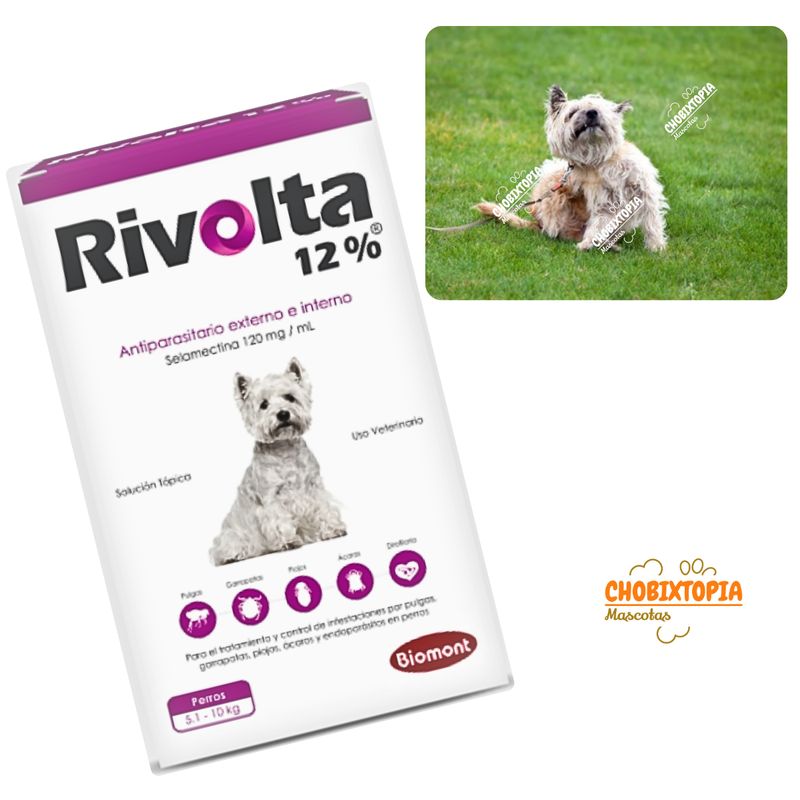 RIVOLTA - RIVOLTA 12% PERROS 5.1 A 10KG  - VIOLETA
