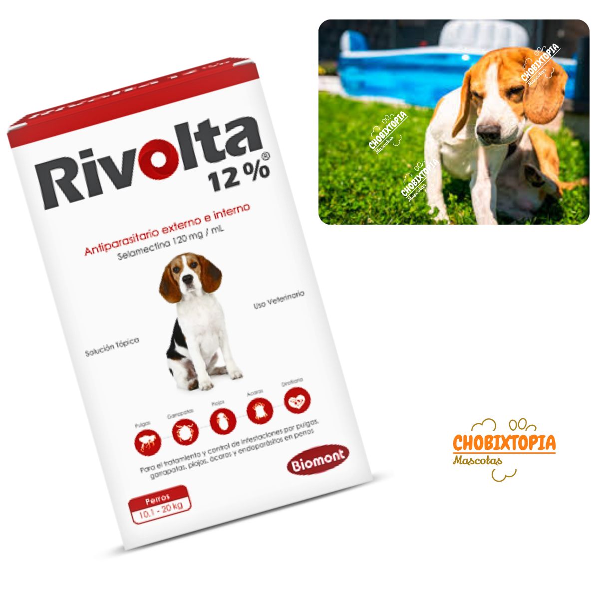 RIVOLTA - RIVOLTA 12% PERROS 10.1 A 20KG - ROJO
