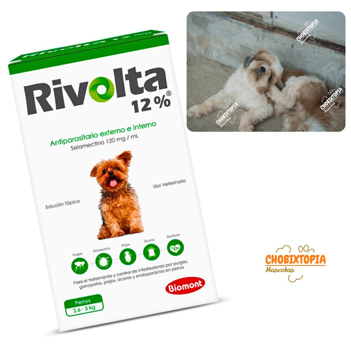 RIVOLTA - RIVOLTA 12% PERROS 2.6 A 5KG  - VERDE