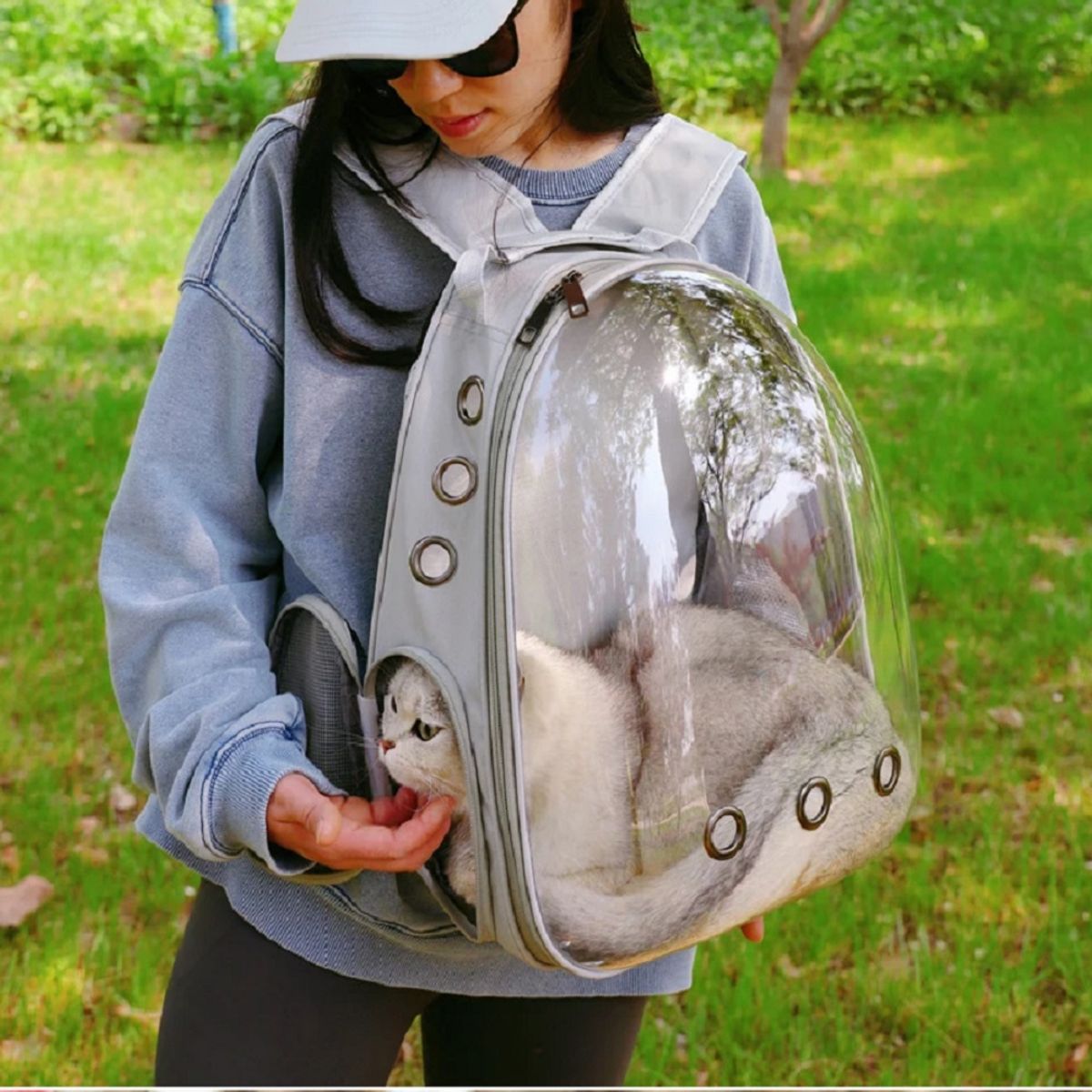 GENERICO - Mochila De Mascota Transparente Para Perros Y Gatos Gris