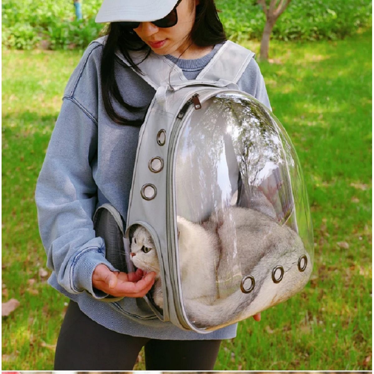 GENERICO - Mochila De Mascota Transparente Para Perros Y Gatos Gris