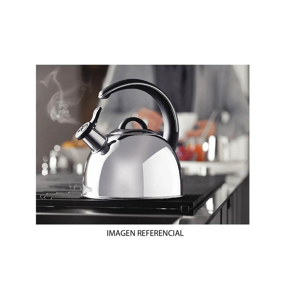 RECORD - Tetera RECORD Acero. Inox cap 2.5 L-A